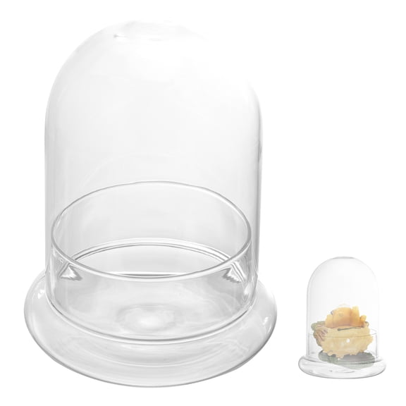 Rhewides Glass Terrarium with Cloche Dome, Air Plant Holder and Tabletop Planter Box for Home, Office and Indoor Decoration