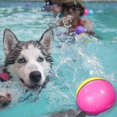 thumbnail image 3 of POPETPOP Beaver Ball Electric Beaver Weasel Toy Rolling Ball Water Mouse Toy for Cat Puppy Dog (Random Color), 3 of 4