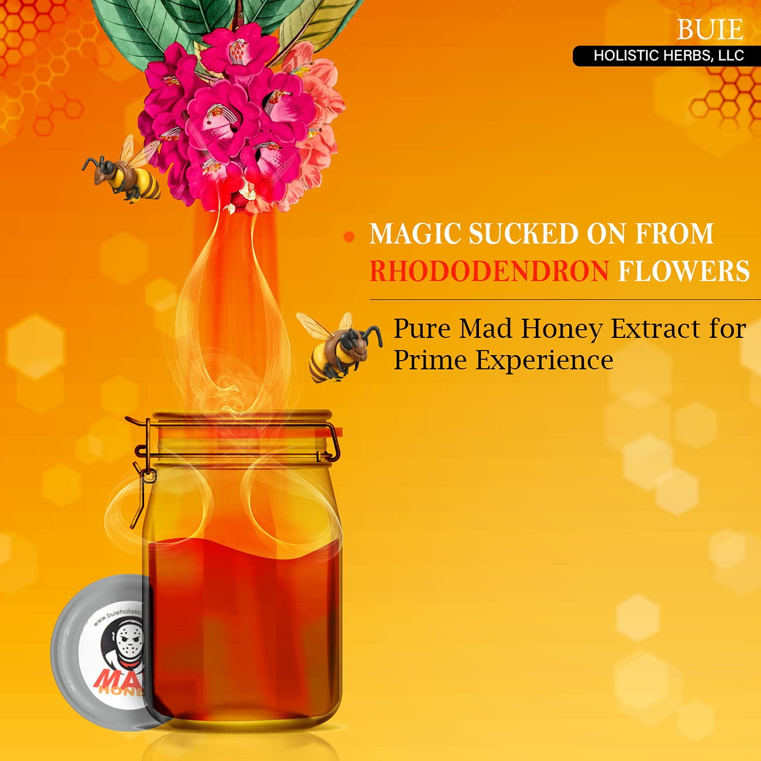 BUIE Mad Honey | Himalayan Honey | From Nectar of Rhododendron Plant | Medicinal Honey | 1 Teaspoon a day | 1.76 Oz. (50g)
