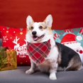 thumbnail image 2 of Pañuelos navideños grandes para perros ADOGGYGO con borlas rojas y verdes, 2 of 6