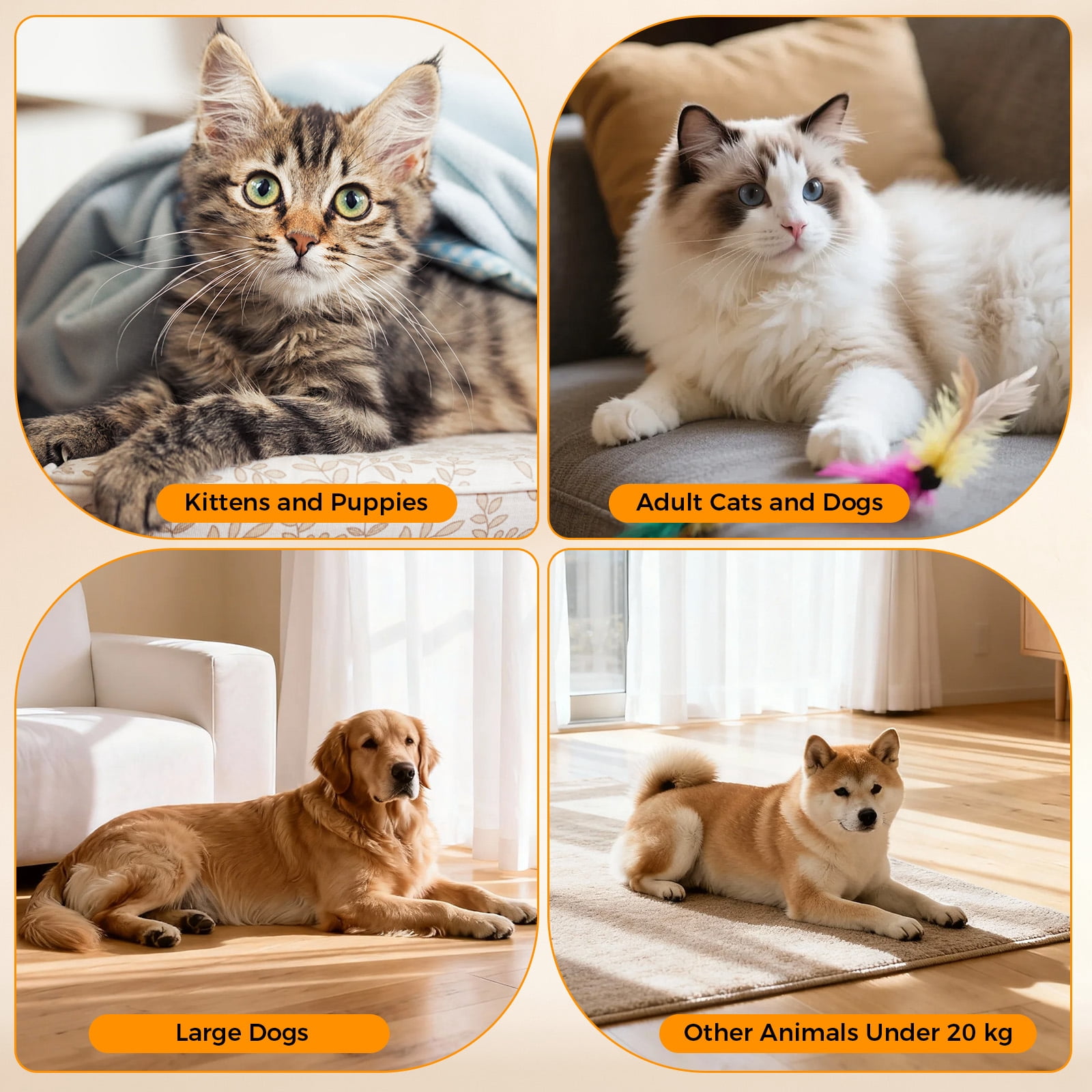 KNDKO Automatic Cat Feeder with Camera, 5.5QT/6L Large Capacity Cat Food Dispenser with 2-Way Audio & App Control, Dual Power Backup
