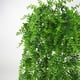 thumbnail image 2 of Billuyoard Simulación de hierba de helecho, planta verde, helecho Artificial, hojas persas, flores, plantas colgantes de pared, decoración de tienda de Decoración del hogar Billuyoard HA017865-00, 2 of 5