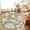 Green, variant on Entryway Rug 2'x3', Light Blue Starfish Coastal Kitchen Runner Rugs Non-Slip Carpet Mats, Shell Summer Beach Nautical Bedside Rugs Runners Washable Floor Carpet for Bathroom Laundry Room