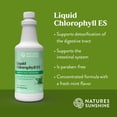 thumbnail image 4 of Chlorophyll Nature's Sunshine Líquido Extra Strength 473 ml, 4 of 7
