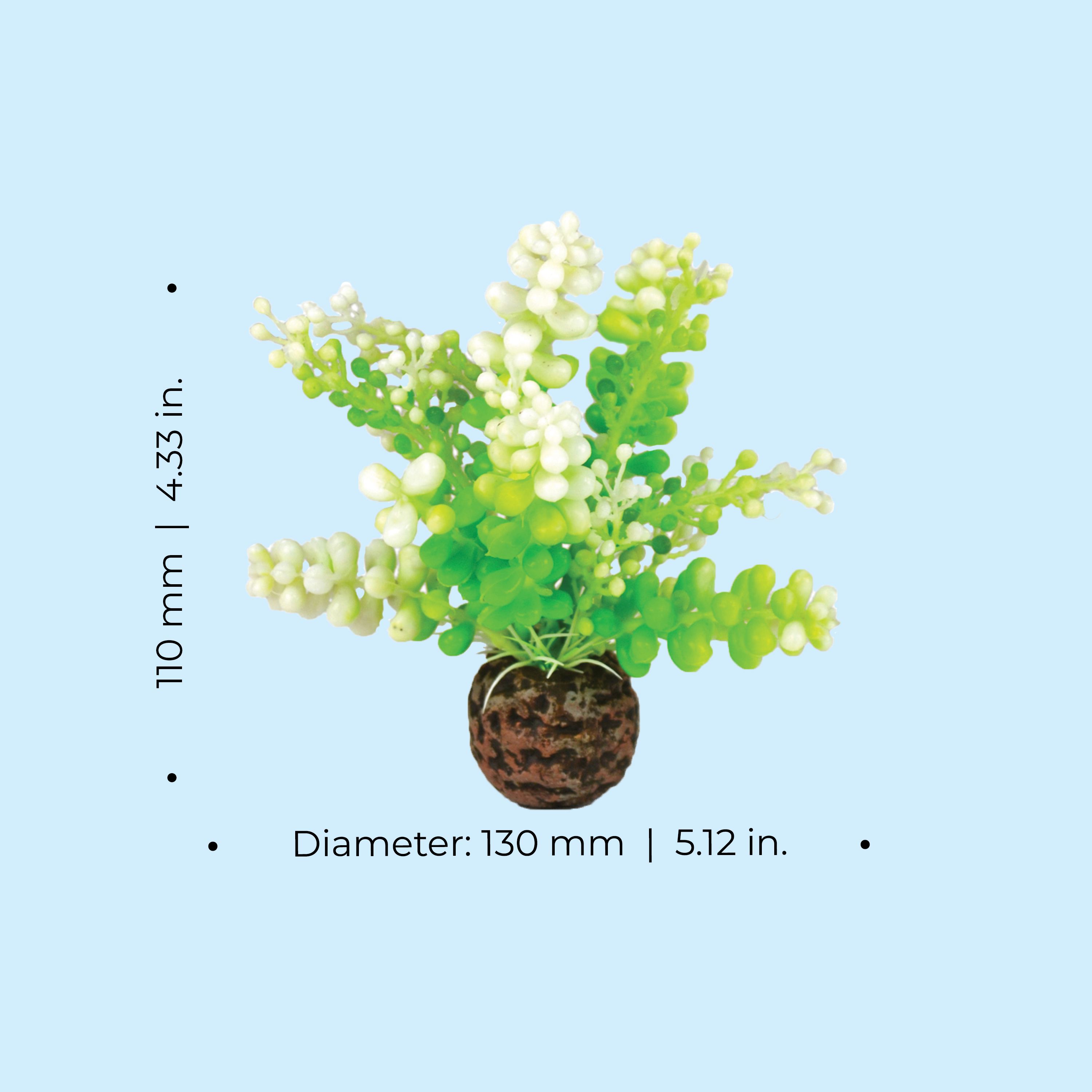 biOrb Green Caulerpa - Small Aquarium Plant Decoration