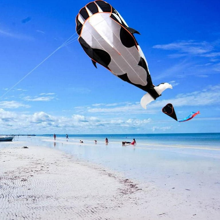 3d Huge Kite Frameless Soft Parafoil Giant Whale Flying Kite