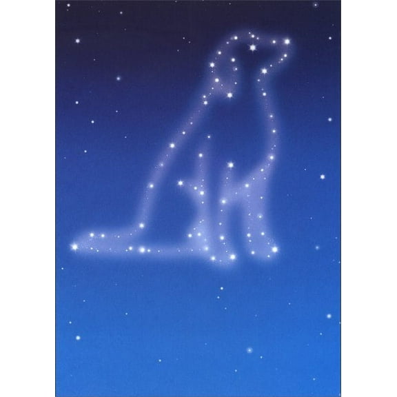 Avanti Press Dog Sympathy Stars Pet Sympathy Card