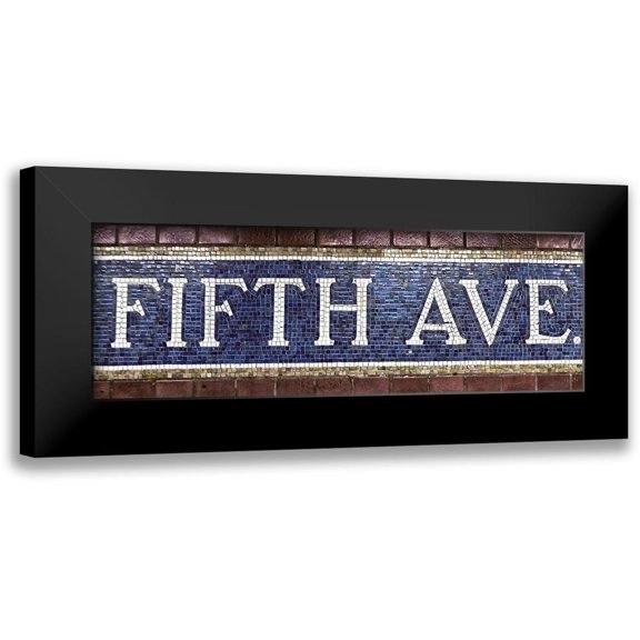 Sophie 6 14x7 Black Modern Framed Museum Art Print Titled - Fifth Ave.