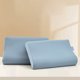 thumbnail image 5 of Estándar de Seda Funda de Almohada, Impermeable Emulsión Funda de Almohada 50x30cm Azul Claro, Tela Transpirable con Cremallera, Funda de Almohada de Seda Lavable, 5 of 6