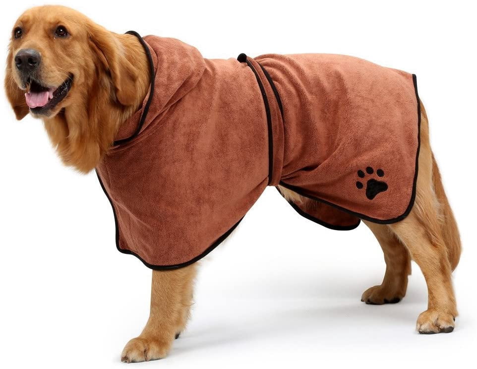 dog in a robe