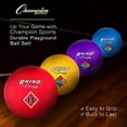 thumbnail image 5 of Champion Sport UPGSET1 Playground Ball Set  Multi-Size  Multi-Color  Nylon  12 per Set, 5 of 5