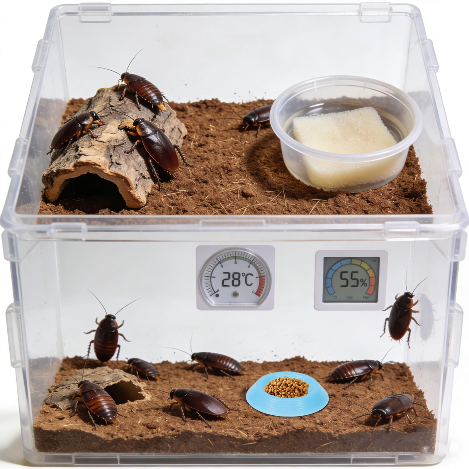 FONDOTIN 12Pcs Reptile Feeding Bowl with Plastic Material and Space Saving Design for Reptile Terrarium