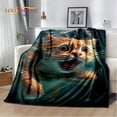 thumbnail image 4 of Couverture Ragdoll Chat Persan Calico Chat Garfield Couverture Douce pour Maison Chambre Lit Canapé Couverture Enfants, 4 of 7