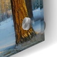 thumbnail image 3 of Epic Art 'Nature Collection 23' by Ata Alishahi, Acrylic Glass Wall Art, 48"x24", 3 of 8