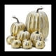 thumbnail image 1 of 8 Piezas Calabazas Artificiales de OtoñO Surtidas Calabazas Blancas Cepilladas Doradas Calabazas Decorativas Calabazas de Espuma, 1 of 5