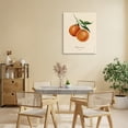 thumbnail image 3 of Stupell Industries Cottage Orange Fruit Portrait Canvas Art, 16 x 20, by Danielle Murray, 3 of 8