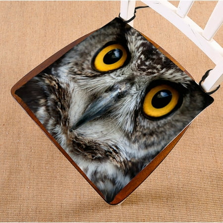 

PHFZK Abstract Chair Pad Animal Owl Night Owl Seat Cushion Chair Cushion Floor Cushion Two Sides Size 18x18 inches