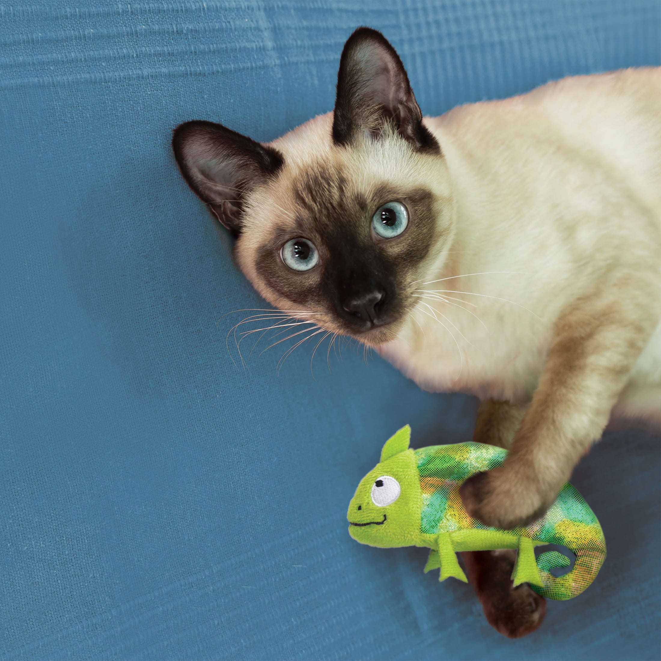 KONG® Refillables Critter Collection,  Catnip Cat Toy With Tube of KONG Premium North American Catnip, Chameleon