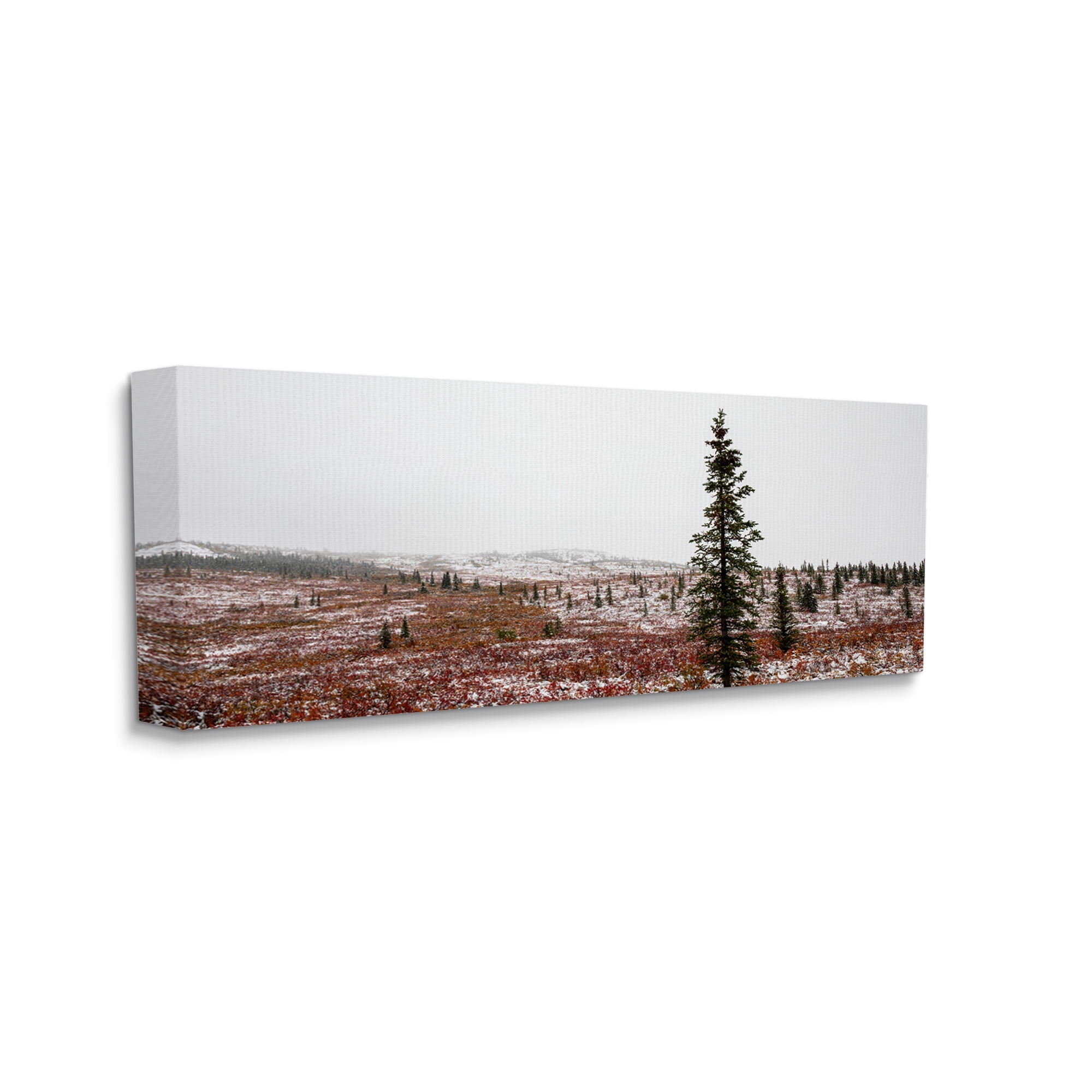 Stupell Industries Tall Pine Landscape Landscape Photography Gallery Wrapped Canvas Art Print Wall Art, 40 x 17