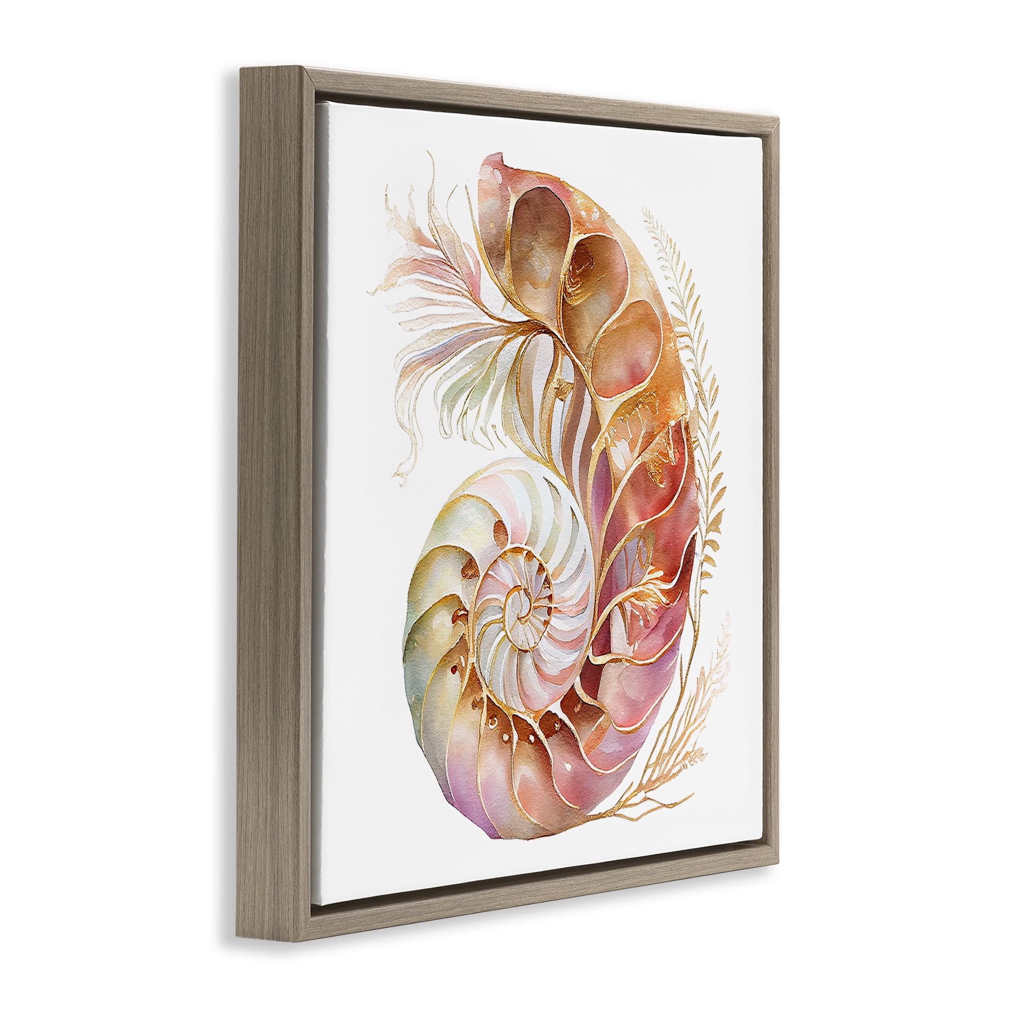 Stupell Industries Curled Nautilus Pattern Nautical & Beach Painting Brown Floater Framed Canvas Art Print Wall Art, 18 x 18
