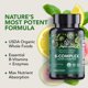 thumbnail image 2 of Suplemento PlantFusion, complejo orgánico de vitamina B, 60 cápsulas, 2 of 5