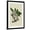 Black Frame, variant on Art.com Canopy Monkey II Art Print by Naomi McCavitt, 12" x 18"