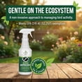 thumbnail image 5 of Donaldson Farms Bird Repellent Spray – Outdoor Formula to Keep Birds Away – Pigeon, Woodpecker, Sparrow, Duck & Goose Deterrent – Efficient Bird Spray for Roofs, Yards, Patios, Balconies, Homes, 5 of 8