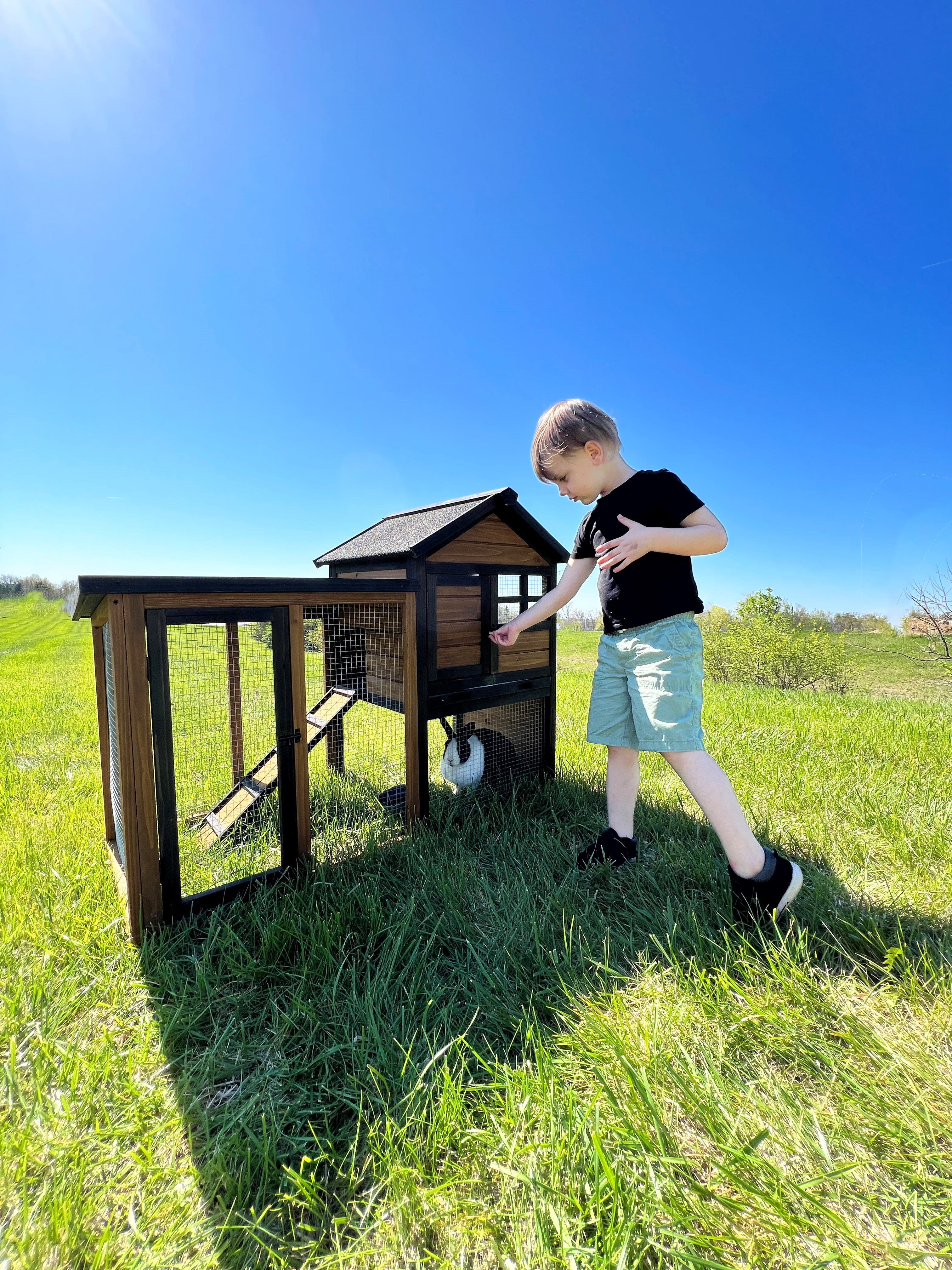 Win World 21901WB Stilt House Rabbit Hutch with Natural Wood