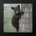thumbnail image 2 of Bailey, Ann 12x12 Black Modern Framed Museum Art Print Titled - Bear Cub 2, 2 of 5