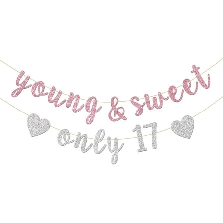 Young & Sweet Only 17 Banner - Happy 17th Birthday Party Decor for Girls - Cheers to 17 Years Party Decorations Supplies, Pink & Silver Glitter