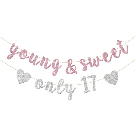 Young & Sweet Only 17 Banner - Happy 17th Birthday Party Decor for Girls - Cheers to 17 Years Party Decorations Supplies, Pink & Silver Glitter