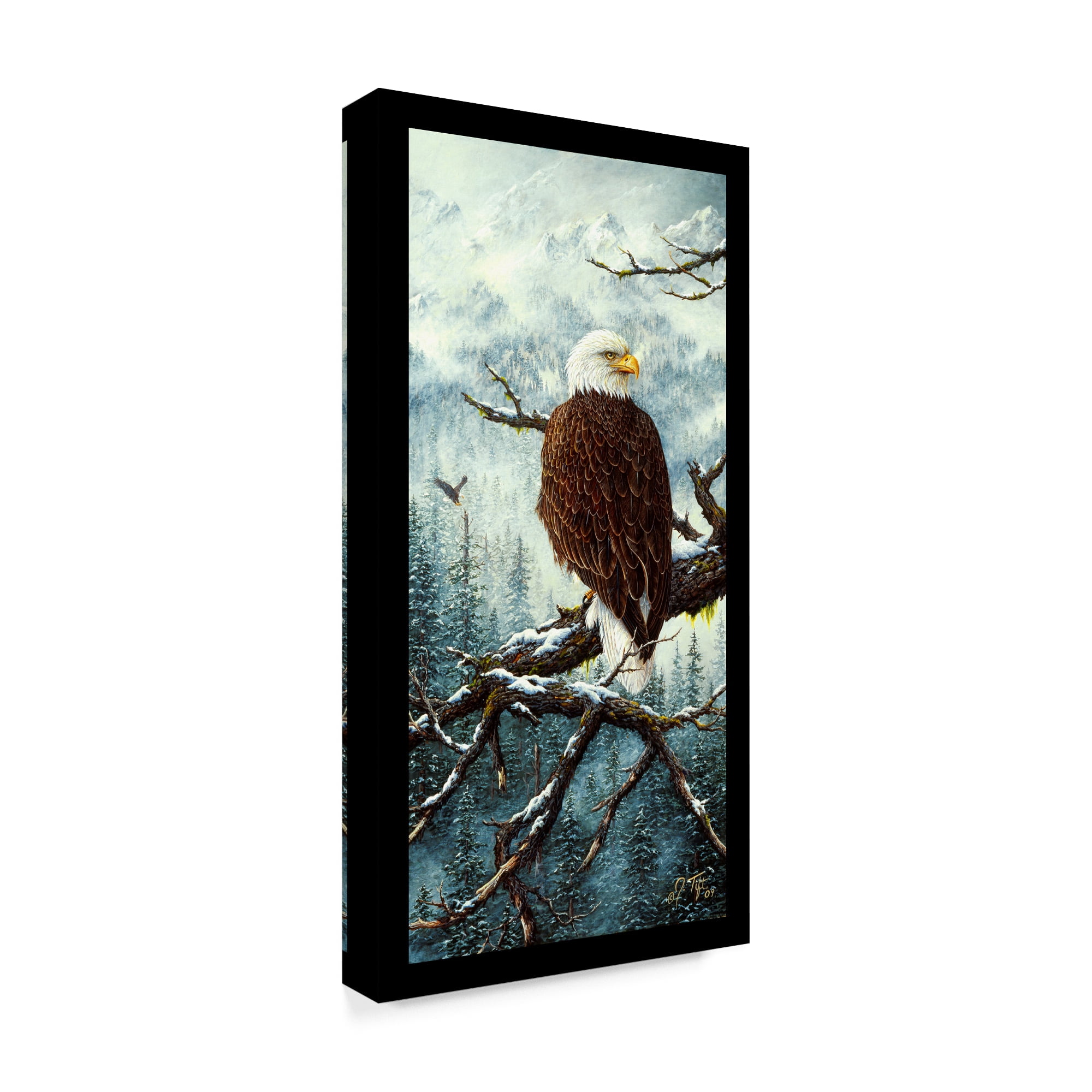 Trademark Fine Art 'Eagle Rest' Canvas Art by Jeff Tift