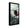 thumbnail image 2 of Trademark Fine Art 'Eagle Rest' Canvas Art by Jeff Tift, 2 of 3