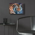 thumbnail image 5 of Epic Art 'Tiger Tales' by Robert Campbell, Acrylic Glass Wall Art, 16"x12", 5 of 8