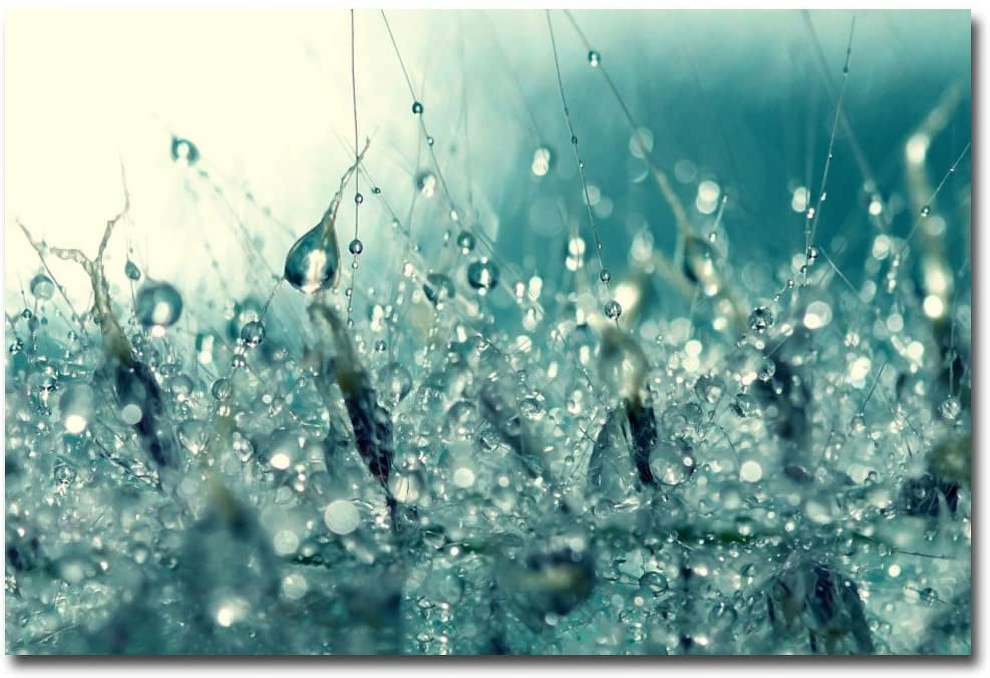 Trademark Fine Art "Under the Sea" Canvas Art by Beata Czyzowska Young