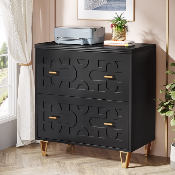 Tribesigns 2-Drawer File Cabinet, Modern Black Lateral Filing Cabinet for Home Office, Large Storage Filing Cabinet Printer Stand for Legal/Letter/A4 Size, Black & Gold
