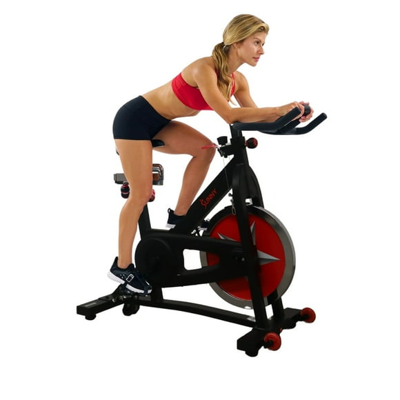 Sunny Bicicleta de Profesional Indoor Cycling Bike color Negro SF-B901BK