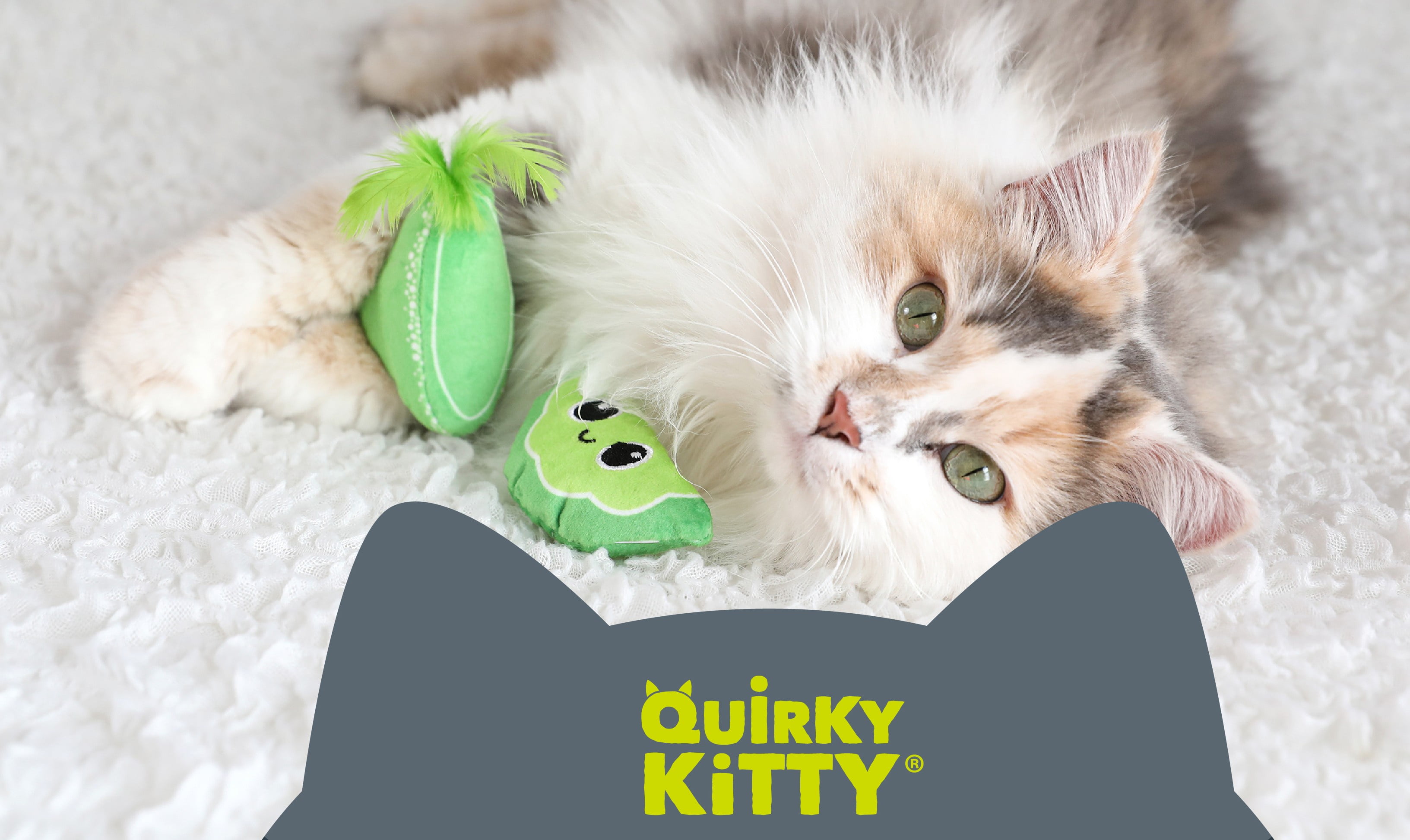 Quirky Kitty Reel Fun Fishing Wand Catnip Interactive Cat Toy, Multicolor
