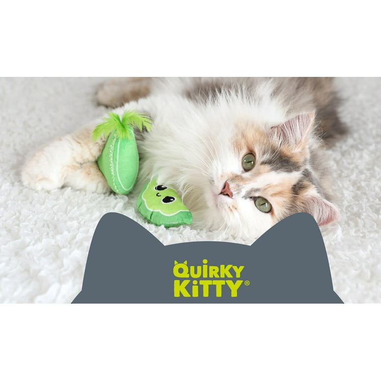 Quirky Kitty Reel Fun Fishing Wand Catnip Interactive Cat Toy