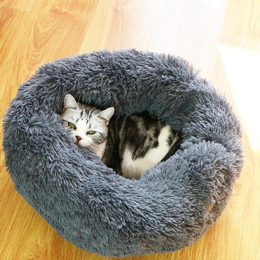 beds for small dogs