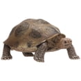thumbnail image 1 of OUSITAID 3.4inch Giant Tortoise Wild Life Animal Toy Turtle Figure 14601, 1 of 8