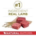 thumbnail image 3 of Purina ONE Lamb & Rice Formula Dry Dog Food, 14-kg bag, 3 of 5