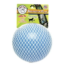Jolly Pet Bounce n Play Ball, 6" Blueberry Dog Toy