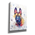 thumbnail image 2 of Epic Graffiti 'Colorful Watercolor Belgian Malinois' by Furbaby Affiliates, Canvas Wall Art, 40"x54", 2 of 8