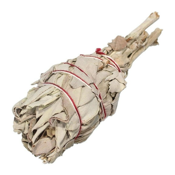 Shamans Market White Sage Mini Torch Style Smudge Stick