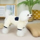 thumbnail image 1 of Abrigo de terciopelo informal de cuatro patas, ropa para perros de terciopelo grueso de doble cara, linda ropa para mascotas de otoño, 1 of 6