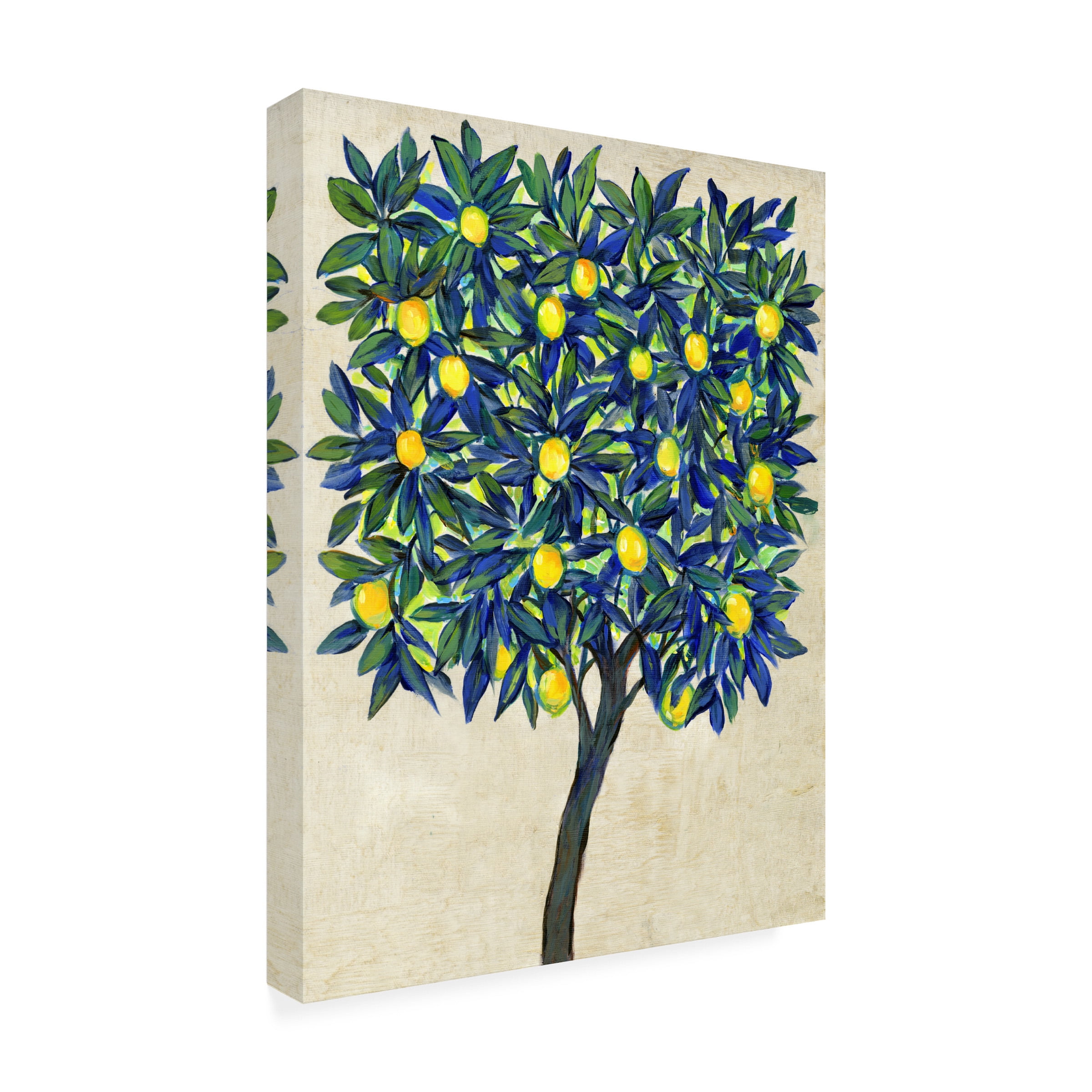 Tim OToole 'Lemon Tree Composition II' Canvas Art