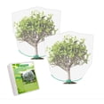 thumbnail image 1 of 2 Pcs Filet Anti-Insectes pour Arbres Fruitiers, Filet à Mailles Fines avec Cordon, Filets Anti-Oiseaux, Blanc, 1.1*1.1m, 1 of 3