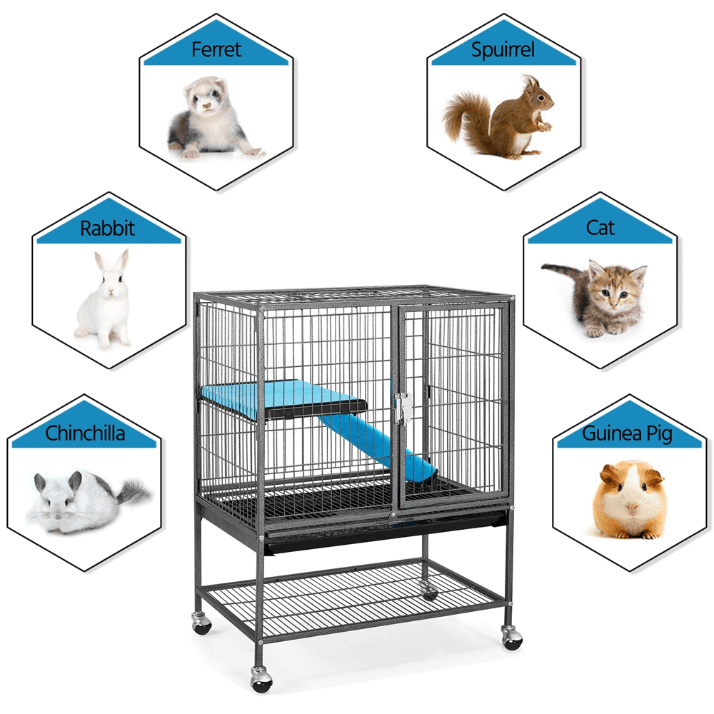 rat cage afterpay