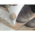 thumbnail image 4 of Ambesonne Popstar Party Quilted Bedspread Set 3 Pcs, DJ Bulldog Music, Queen Size, Pale Brown Black Red, 4 of 5